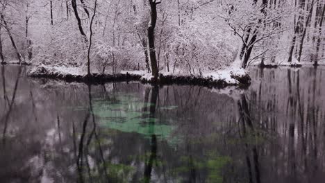 Una-Fuente-De-Agua-Dulce-Que-No-Se-Congela-Durante-El-Invierno---Una-Famosa-Reserva-Natural-De-Manantiales-Azules-En-Polonia