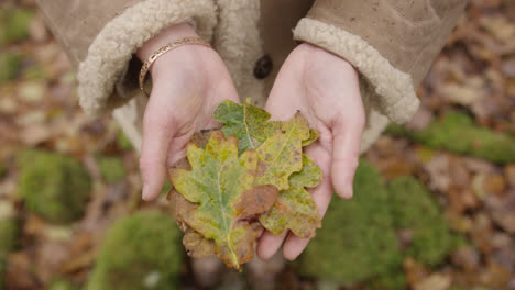 Hands-holding-leaves-in-woodland-area