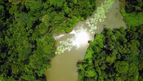 Erstaunliche-Filmische-4k-Drohnenaufnahmen-Von-Wohngebäuden-Nach-Dem-Problem-Der-Entwaldung-Bestehen-Aus-Vielen-Häusern,-Straßen,-Bäumen,-Seen-Und-Infrastruktur-Inmitten-Des-Tropischen-Waldes-In-Riau,-Indonesien