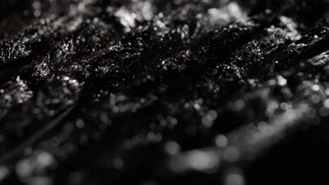 Super-macro-shot-of-Vanilla-beans-textured-surface,-spot-of-lights-passing-by