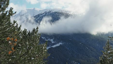 Panning-panorama-of-cloud-covered-mountain-during-winter,-pine-tree-forest
