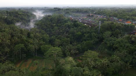 Dichtes-Dickicht-An-Einem-Nebligen-Morgen-In-Der-Nähe-Von-Siedlungen-Am-Fuße-Des-Mount-Batur-In-Bali,-Indonesien