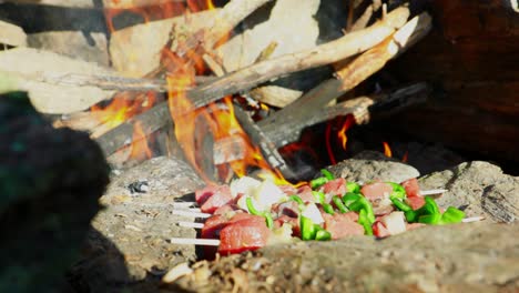 Close-up-of-skewers-in-wooden-stick-cooking-on-outdoor-rustic-campfire