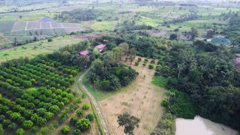 Aerial-view-of-buildings-surrounded-by-farmland-in-Ghanaian-countryside
