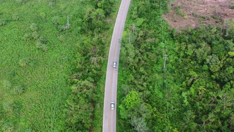 two-cars-driving-on-empty-road-in-a-lush-green-forest,-aerial-top-down