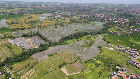 Aerial-Drone-view-of-Indonesian-plantation-and-housing-in-Gianyar,-Bali