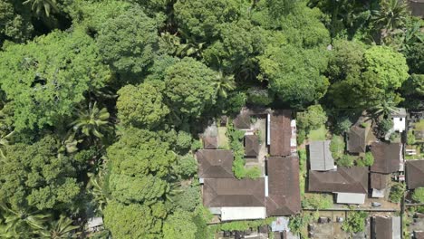 Aerial-Drone-view-of-Indonesian-plantation-in-Gianyar,-Bali