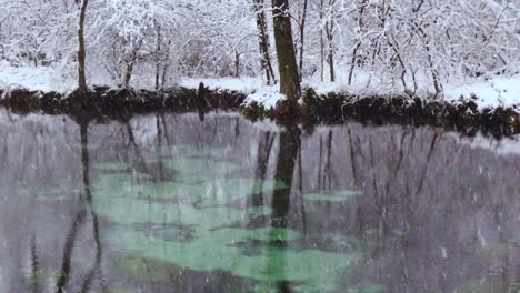 Snowy-Winter-Scene-at-Niebieskie-Zrodla-Nature-Preserve,-Poland---Static