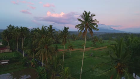 Drone-Ascendiendo-En-Campos-Agrícolas-Cerca-De-La-Carretera-Asfaltada-En-Bali,-Indonesia-Durante-La-Puesta-De-Sol