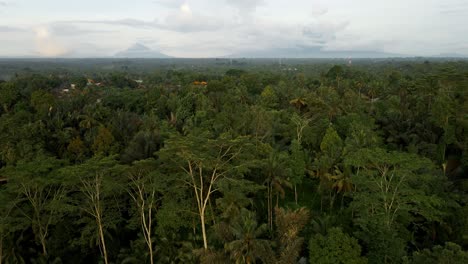 Dense-Tropical-Forest-Revealed-Countryside-Village-Near-Mount-Batur-In-The-Island-Of-Bali,-Indonesia
