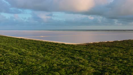 overhead-aerial-of-lush-greenery-surrounding-the-pink-lakes-of-Las-Coloradas-at-sunset