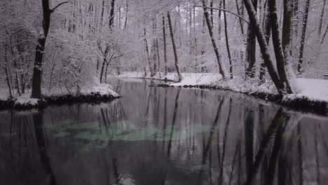 Niebieskie-Zrodla-Nature-Reserve-during-Snowy-Poland-Winter,-Panning