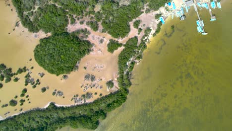 Luftdrohnenaufnahme-Des-Mangrovensumpfes-In-Chelem-Yucatan-Mexiko