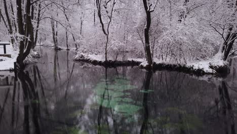 Famosa-Reserva-Natural-De-Fuente-De-Agua-De-Manantiales-Azules-En-Polonia