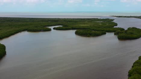 Weite-Luftlandschaft-Von-Mangroven-Und-Küstenlinie-In-Rio-Lagartos-Mexiko