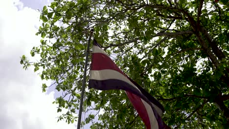 Costa-Rican-flag-without-shield-waving-under-a-large-tree,-Looking-up-shot