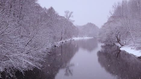 Winter-Snowfall-in-Beautiful-Nature-Reserve-of-Niebieskie-Zrodla,-Poland