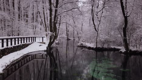 Naturschutzgebiet-Blue-Springs-In-Polen-Im-Kalten-Winter