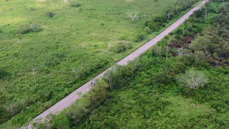 aerial-tracking-two-vehicles-driving-on-empty-road-through-the-lush-green-fields-and-forest-of-Mexico