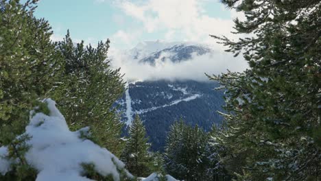 Outdoor-winter-scene,-cloud-covered-mountain-at-a-pine-tree-forest-during-the-day