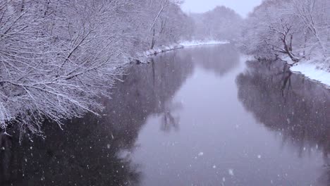 La-Nieve-Cae-Lentamente-Sobre-La-Reserva-Natural-De-Manantiales-Azules-En-Polonia
