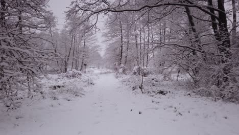 Das-Naturschutzgebiet-Blue-Springs-In-Polen-Im-Verschneiten-Winter---Panoramaaufnahme