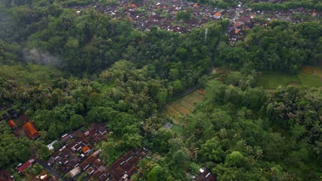Countryside-Dwellings-Surrounded-By-Tropical-Forest-Tree-Near-Mountain-Batur-In-Bali,-Indonesia