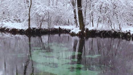 Eine-Süßwasserquelle-Im-Winter-Mit-Majestätischem-Schneefall---Ein-Berühmtes-Naturschutzgebiet-Der-Blauen-Quellen-In-Polen