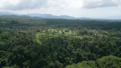 Aerial-Drone-view-of-Indonesian-plantation-in-Gianyar,-Bali