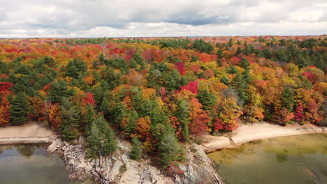 Bright-Colors-Of-Autumnal-Trees-In-A-Forestland-By-The-Lakeshore