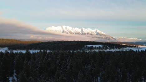 Eine-Sonnenuntergangstour-Durch-Einen-Verschneiten-Wald-In-Den-Kanadischen-Rocky-Mountains