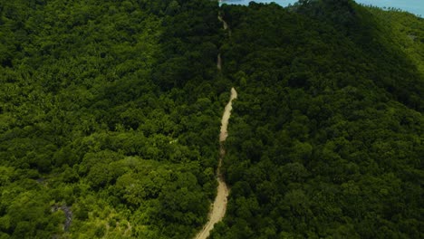 Driveway-through-forest-leading-to-tropical-bay
