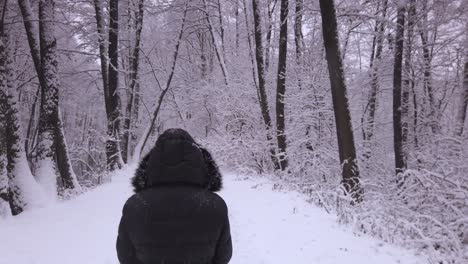 Hooded-Person-in-Black-Coat-Walking-on-Snowy-Forest-Path---Dolly-Forward