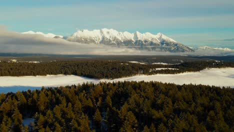 Un-Viaje-Al-Atardecer-A-Través-De-Un-Paraíso-Invernal:-Un-Bosque-Nevado-En-Las-Montañas-Rocosas-Canadienses