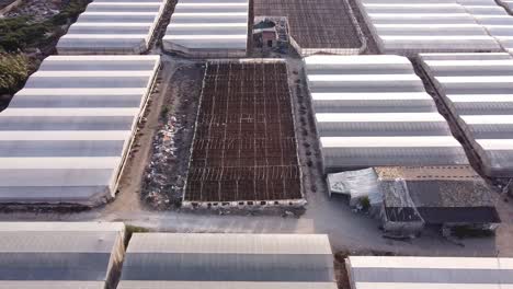 Greenhouse-farmland-in-Sicily.-Greenhouse-under-construction
