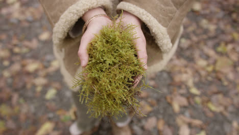 Hands-holding-moss-in-woodland-area