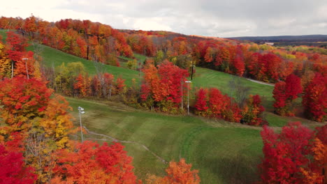 fly-over-bright-red-and-orange-coloured-trees-that-stand-out-against-green-field