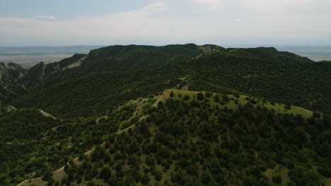 Pico-De-La-Colina-Con-Vegetación-Arbórea-En-Un-Paisaje-Montañoso-Boscoso,-Georgia