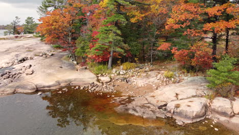 Aerial-clip-of-the-shore-of-still-lake-surrounded-by-Autumn-coloured-forest