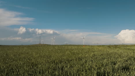 Wind-generator-farm-in-fields-blown-by-summer-breeze-in-Gori,-Georgia