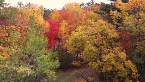 Luftlandschaftsansicht-Eines-Bunten-Herbstlichen-Waldes,-Mit-Gelbem-Rotem-Und-Orangefarbenem-Laub