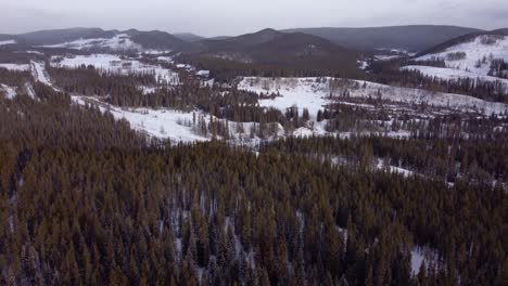 Drone-Volando-Lentamente-Sobre-El-Bosque-De-Invierno-Con-Colinas-Cubiertas-De-Nieve-En-El-Fondo