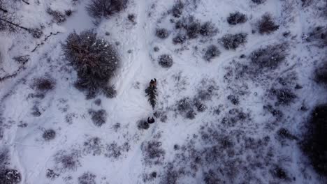 Top-down-drone-shot-of-two-people-walking-in-the-winter-Canadian-forest