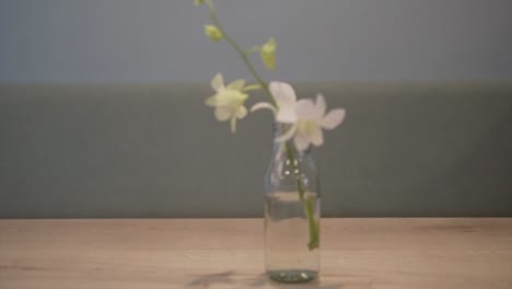 View-of-a-white-flower-in-a-glass-vase-on-a-wooden-table,-zoom-in
