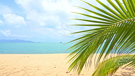 Palm-fonds-peak-into-the-frame-of-a-quiet-sandy-beach