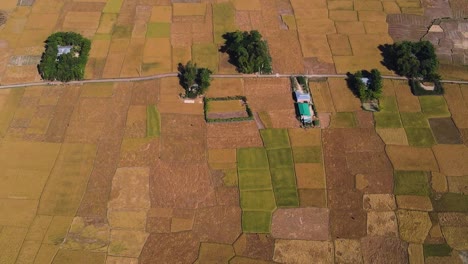 Campos-Agrícolas-Vistos-Desde-Arriba-En-Bangladesh