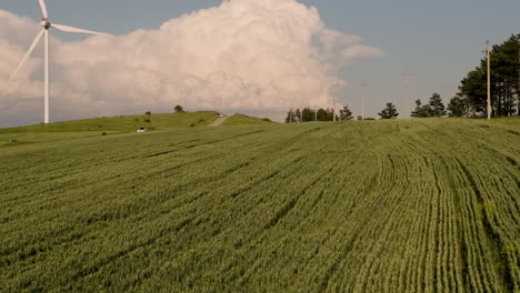 Rotating-wind-generator-above-ripening-crop-field-in-Georgia-at-dusk
