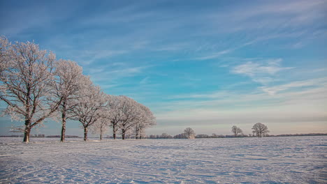 Stunning-time-lapse-view-of-blue-sky-and-white-clouds-over-snow-covered-trees-and-ground