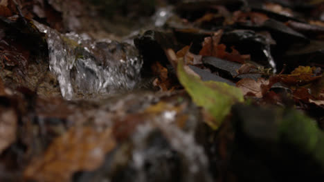 Close-up-of-small-stream-running-through-woodland-area