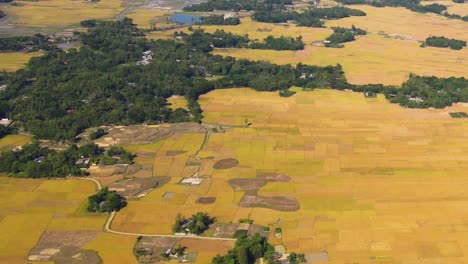 Ländliche-Landwirtschaftlich-Genutzte-Flächen-In-Bangladesch-Luftaufnahme